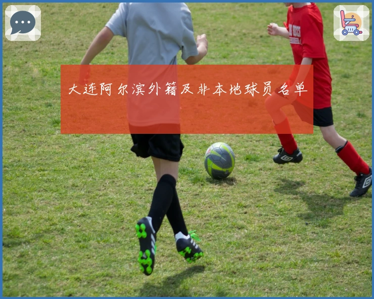 大连阿尔滨外籍及非本地球员名单